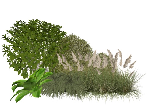 现代庭院植物堆景观组合su模型