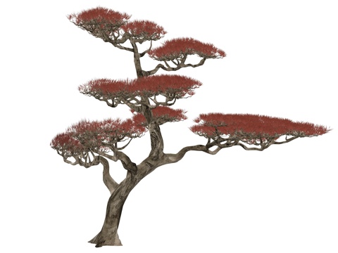 新中式造型松植物su模型