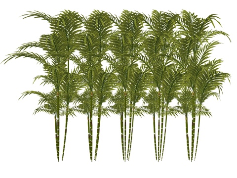 现代竹子植物su模型