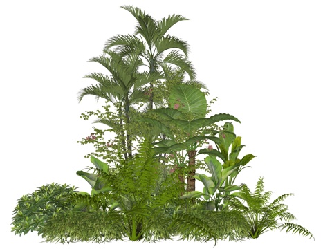 现代庭院植物堆景观组合su模型