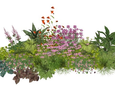 现代庭院植物堆景观组合su模型