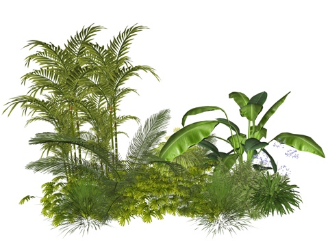 现代庭院植物堆景观组合su模型