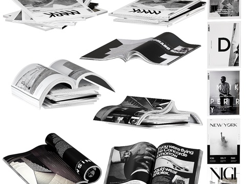  深色杂志13d模型 