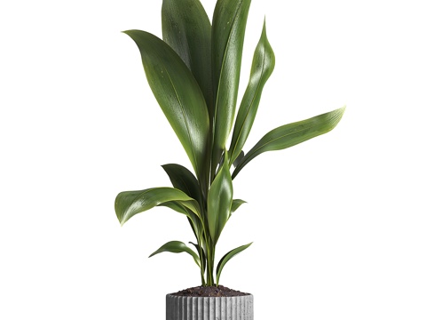  花瓶花卉3d模型 