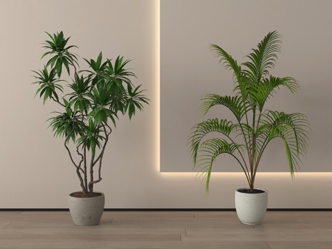 现代植物盆栽盆景 绿植组合su模型