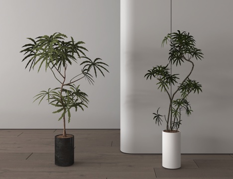 现代植物盆栽盆景 绿植组合su模型