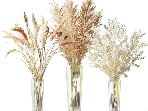 玻璃花瓶干花束套装13d模型