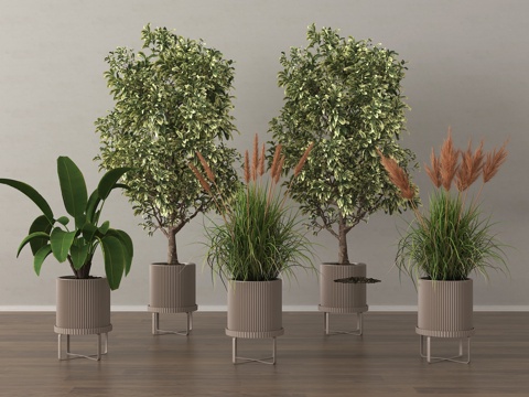 现代盆栽 绿植组合su模型