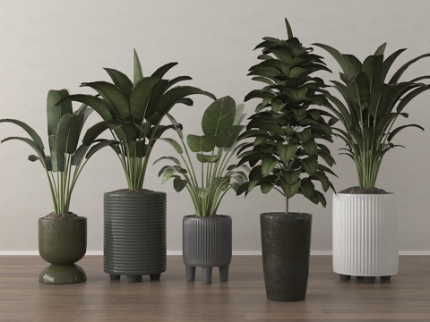 现代盆栽 绿植组合su模型