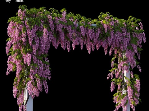  紫藤树 10 组 023d模型 