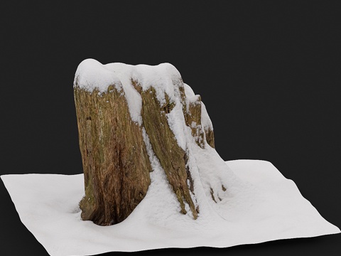 雪下树桩3d模型