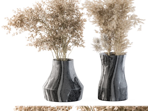 干花植物 43 - 干草蓬蓬草3d模型