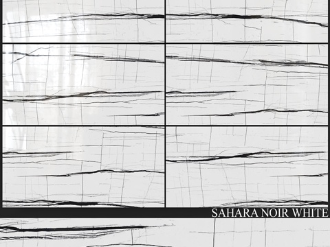  Decovita 撒哈拉黑白色 600x12003d模型 