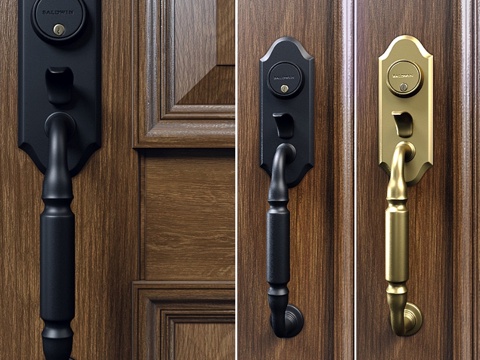 Baldwin。阿什顿双点锁门把手3d模型