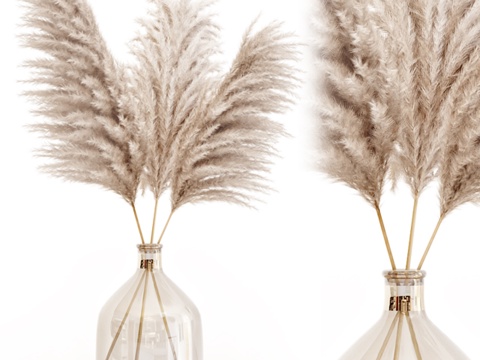  玻璃花瓶中的芒草 73d模型 