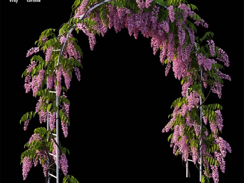  紫藤植物13组023d模型 
