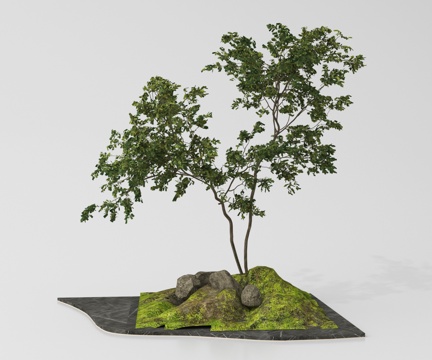 现代庭院景观小品 植物景观 景观造景su模型