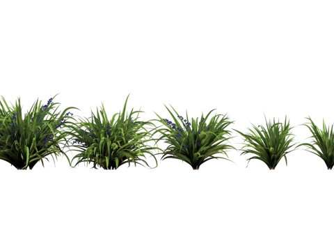  植物 花草 灌木 茅草3d模型 