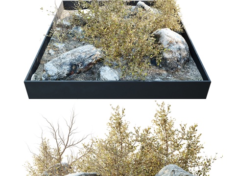  岩石基座干花植物3d模型 