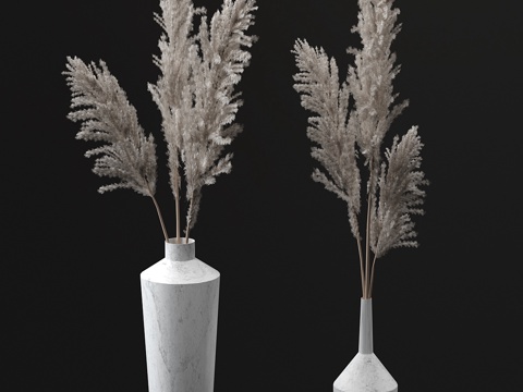 芒草花束3d模型