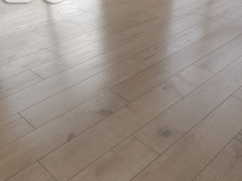  科斯威克 灰绒3d模型 