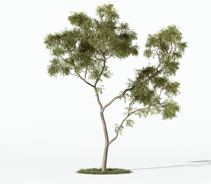  现代树木 景观树 乔木 灌木 绿植 盆栽3d模型 