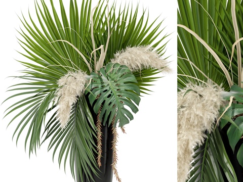  植物收藏 3683d模型 