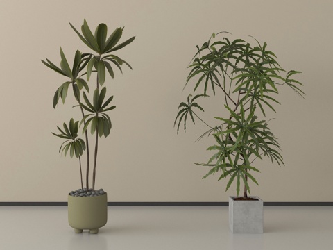 现代盆栽植物 盆栽盆景su模型