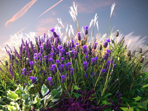  景观灌木 灌木丛 花草3d模型 