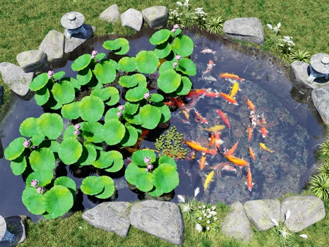 现代锦鲤鱼群 鲤鱼 金鱼锦鲤组合 红色黄色金鱼 荷花 睡莲su模型