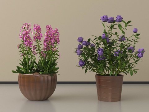 现代盆栽 盆景植物 盆栽 花盆su模型