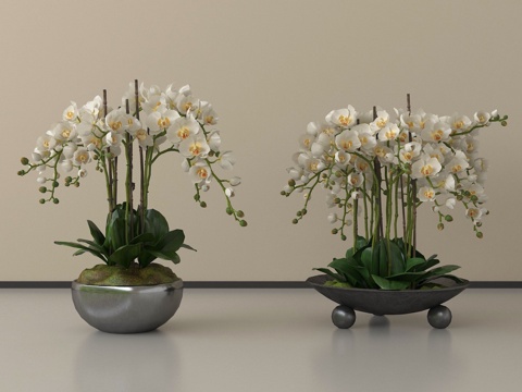 现代盆栽植物 盆栽盆景 花艺su模型