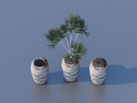  花盆 盆栽 绿植 植物3d模型 