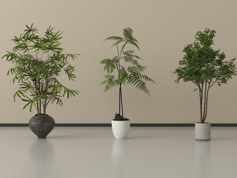 现代盆栽植物 盆栽盆景su模型