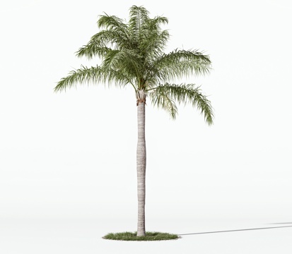  现代树木 乔木 景观树 灌木 树木 绿植 植被3d模型 