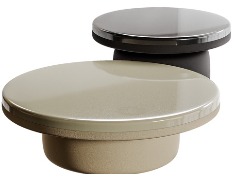  现代侘寂 Poliform-CREW 圆茶几组合3d模型 