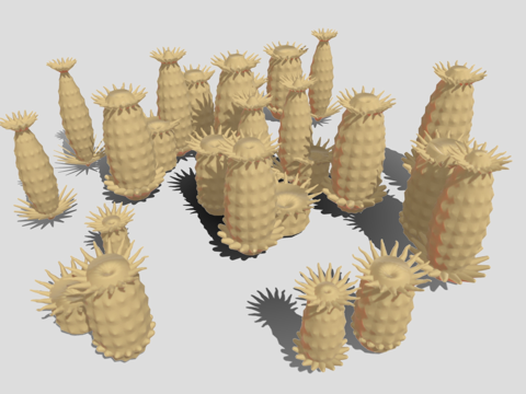 海洋植物 海葵 藻类植物su模型