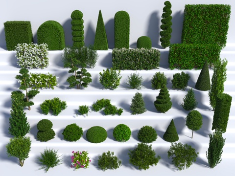  植物 绿植 中古风 树墙 灌木3d模型 