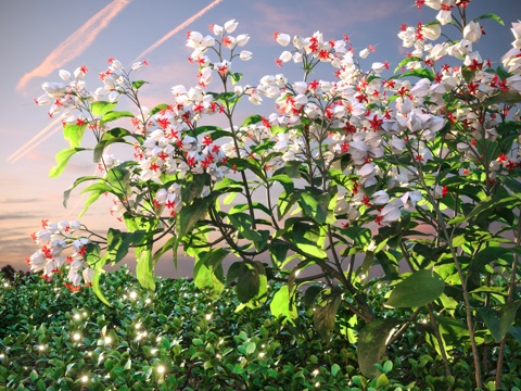  景观灌木 灌木 植物组合 花草3d模型 