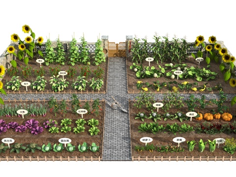 现代蔬菜园菜园景观 菜地 农作物 菜园菜地农地 蔬菜组合su模型