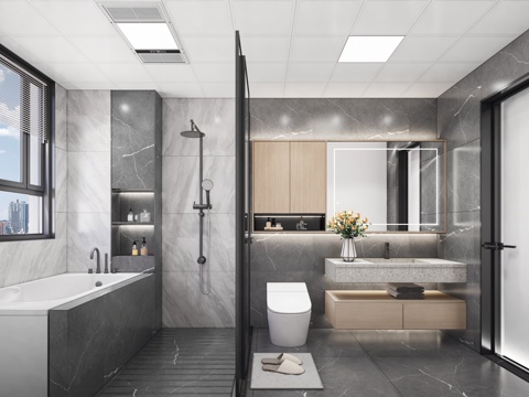 现代卫生间_现代卫生间_干湿分离卫生间_淋浴间_马桶_花洒su模型