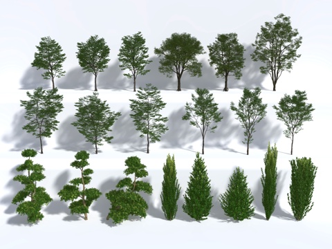  植物 绿植 中古风 树 乔木3d模型 