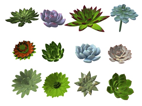 现代庭院多肉植物su模型