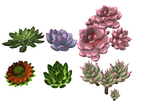 现代庭院多肉植物su模型