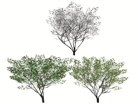 现代庭院花灌木植物树su模型