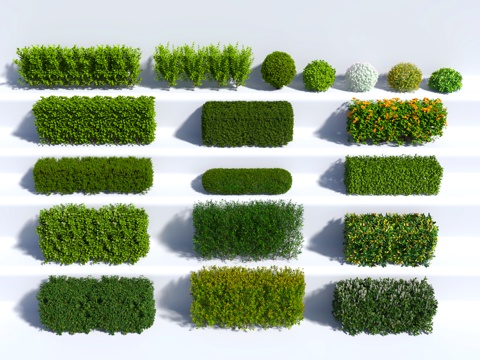  植物 绿植 中古风 树墙 灌木3d模型 