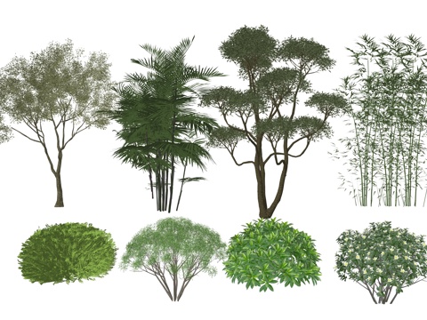 现代植物组合su模型