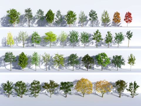  植物 绿植 中古风 树 乔木3d模型 