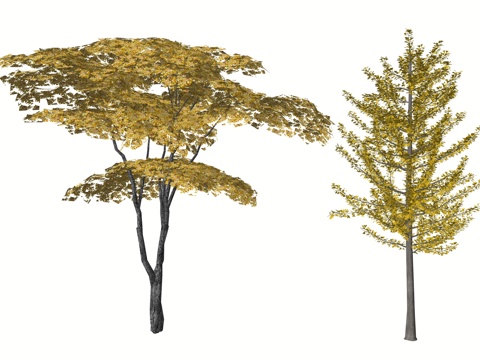 现代庭院植物树su模型