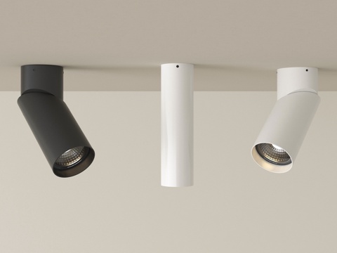 现代筒灯射灯 明装筒灯射灯 转向式su模型